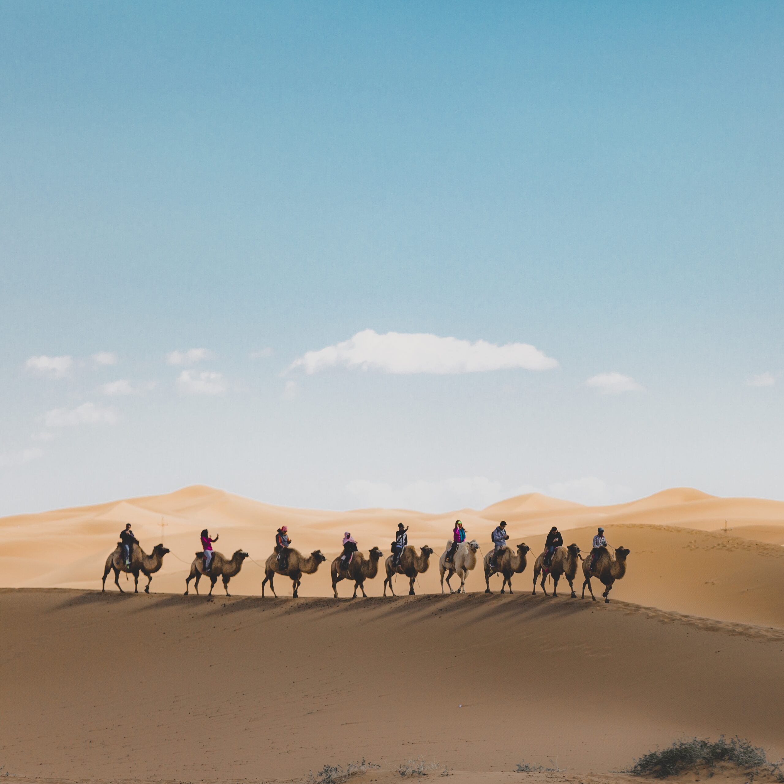 Triplan Morocco Tours - Merzouga Sahara Desert - Camel Riding