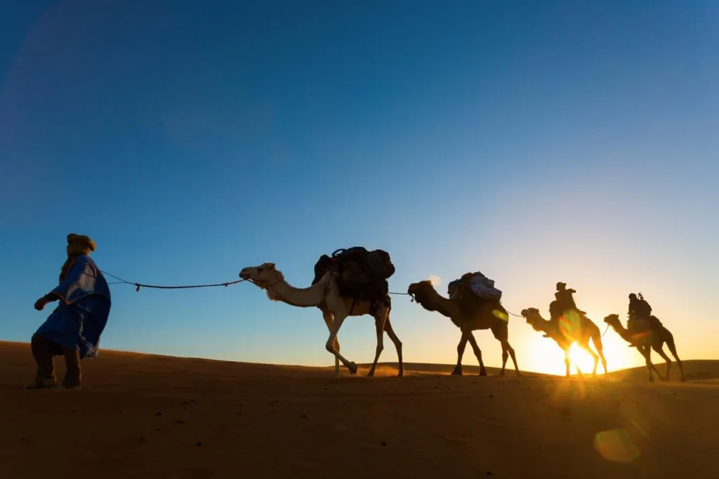 4 Days Marrakech to Fes Desert Tour